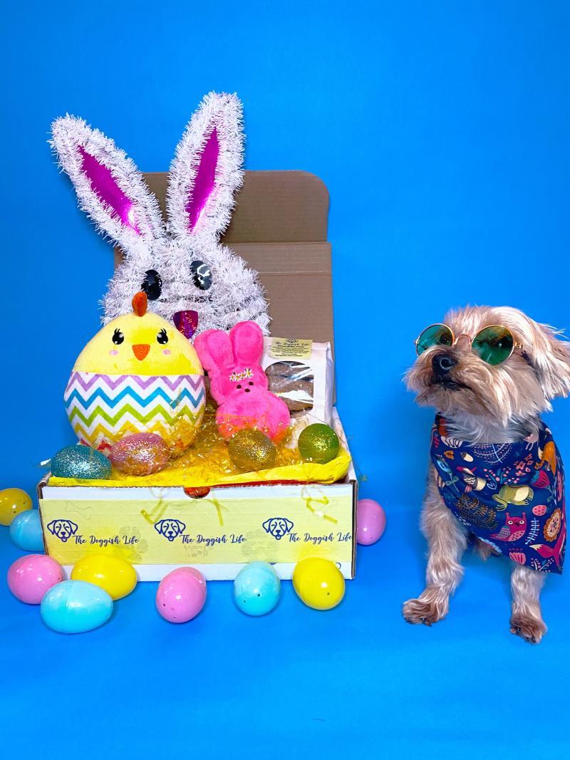 Pandemic Opened a New Career Path Westmont College